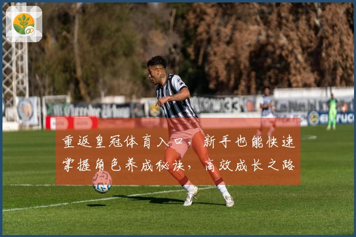 重返皇冠体育入口，新手也能快速掌握角色养成秘诀，高效成长之路由此开启