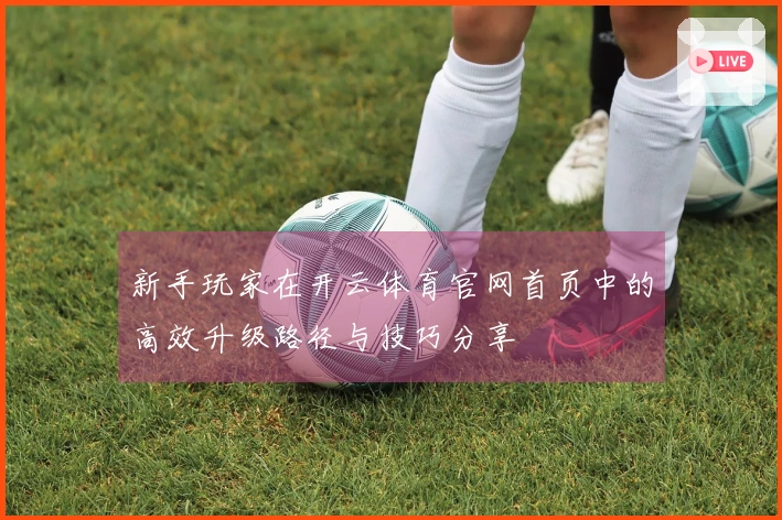 新手玩家在开云体育官网首页中的高效升级路径与技巧分享