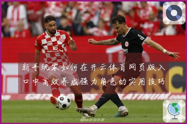 新手玩家如何在开云体育网页版入口中高效养成强力角色的实用技巧