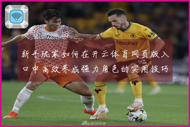 新手玩家如何在开云体育网页版入口中高效养成强力角色的实用技巧